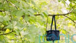 Scots asked to spot mosquitoes as part of project linked to climate change