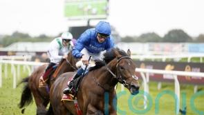 Ancient Wisdom heads Dante dozen at York on Thursday