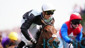 Zoffee lifts Chester Cup in famous success for Hugo Palmer