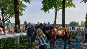 Lofty ambitions for Shartash after shining again at Haydock