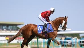Wizard weaves his magic for Fellowes and Marquand at Ascot