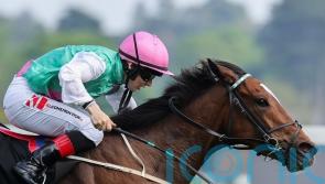 Wendla makes all for Leopardstown honours
