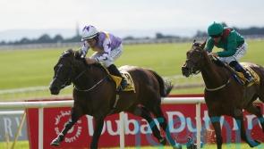 Bold Discovery sparkles in Amethyst win