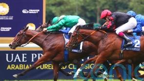 Rouhiya swoops late to grab Pouliches prize