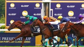 Dancing Gemini denied Classic crown by Metropolitan