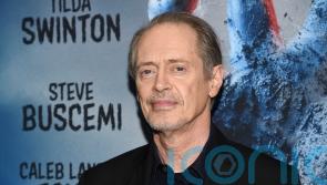 Actor Steve Buscemi punched by man in New York