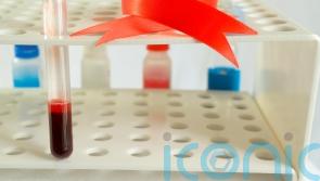 Charity hopes report will show who decided haemophiliacs were ‘expendable’