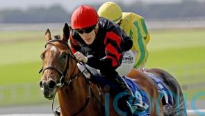 McCreery targeting ‘happy and fruitful summer’ for Vespertilio