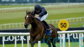 Ylang Ylang to spearhead O’Brien’s Oaks challenge