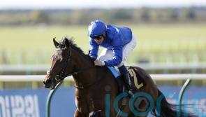 Appleby monitoring York weather ahead of Ancient Wisdom run
