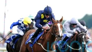 Swingalong back at York to lead Burke attack on sprint prize