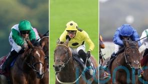 Classic aspirations on trial as Dante field assembles at York