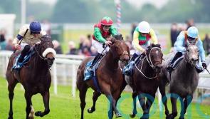 Mill Stream digs deep to take Duke of York honours