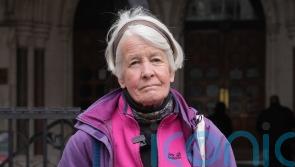Solicitor General seeks approval to challenge ruling over climate protester