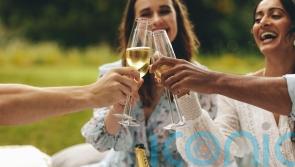 Fantastic fizzes for summer soirées, all £20 and less