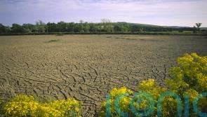 Researchers warn climate change is likely to aggravate brain conditions