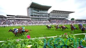 Point made at York at last by Lynas
