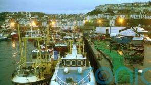 Damaged air valve ‘potential source leading to parasite in water network’