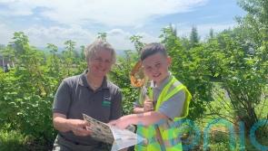 West Belfast boy discovers Northern Ireland’s first recorded water stick insect