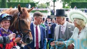 Desert Hero warming up for Royal return with Newbury outing