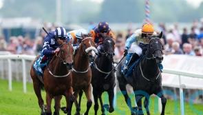 Betty Clover has Johnson Houghton in raptures with York victory