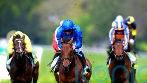 Setback rules leading fancy Arabian Crown out of Derby