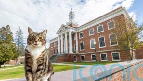 Max the friendly cat awarded honorary degree by US university