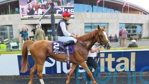 Kyprios claims Saval Beg honours