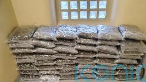 Suspected cannabis worth one million euro seized in Co Meath