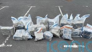 Cannabis worth £2.1m discovered following Co Tyrone searches