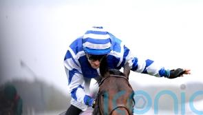 Big Rock team will regroup after Lockinge conditions go against QEII winner