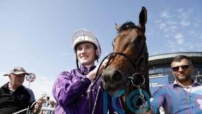 Bucanero Fuerte too strong for Lacken rivals