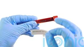 What is the infected blood scandal?