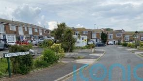Most people in my street affected by parasite infection, claims resident