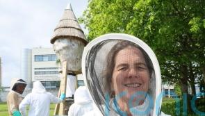Researchers call on citizen scientists to support ‘Plan Bee’