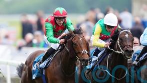 Diligent Harry firmly on target for Ascot after York near-miss
