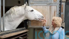 World’s oldest riding school loved by royal family to tour England and Scotland