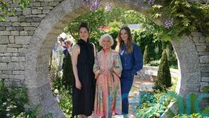 Dame Mary Berry and Bridgerton cast among celebrities at Chelsea Flower Show