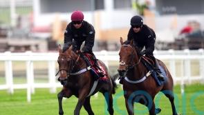 Stars align for Dancing Gemini to get Derby go-ahead