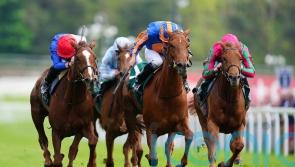 Kimpton Down Oaks squad strong on quality and quantity