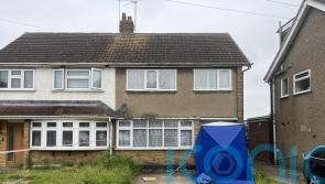 Neighbour feared XL bully dogs that killed owner were dangerous