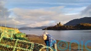 Successful trial of sinking fishing rope raises hope for cutting whale deaths