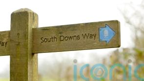South Downs National Park launches green investment scheme to boost biodiversity