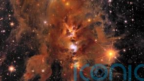 Euclid telescope sends back largest images of universe ever taken from space