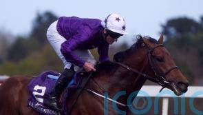 Murray backing Dallas Star to belie Derby longshot status