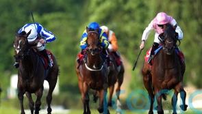 Sweet William and Havlin on the mark in Henry II Stakes