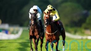 Royal Rhyme eases to Brigadier Gerard success