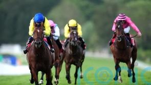 Promising Almaqam makes an impression in Heron Stakes