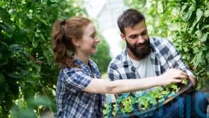 How to save money when kitting out your garden this summer