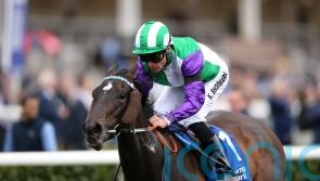 Fellowes expecting bold Temple bid from Vadream